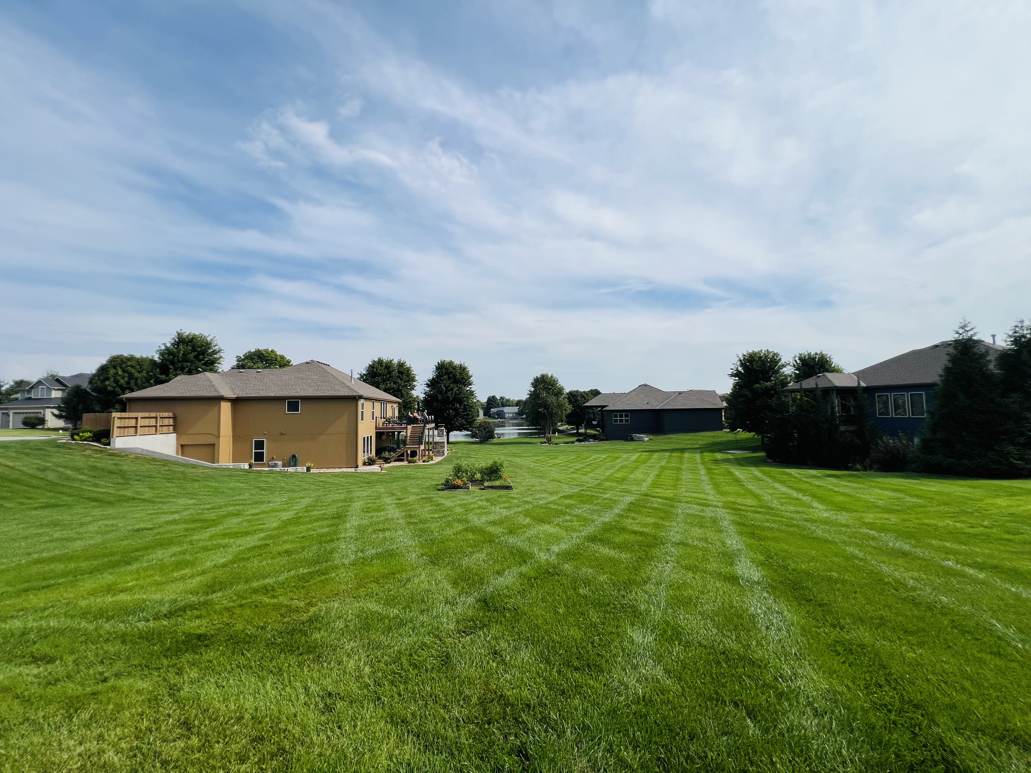 A large backyard lawn mowed in a crosshatch pattern, with a pond and neighboring homes in the background.